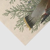 John James Audubon Cedar Waxwing Vogelprint Tissuepapier (Detail)