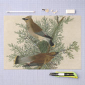 John James Audubon Cedar Waxwing Vogelprint Tissuepapier (Craft)