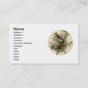 John James Audubon Cedar Waxwing Vogelprint Visitekaartje
