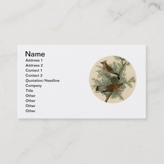 John James Audubon Cedar Waxwing Vogelprint Visitekaartje (Voorkant)