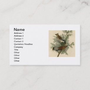 John James Audubon Cedar Waxwing Vogelprint Visitekaartje