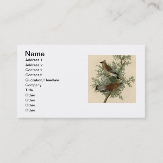 John James Audubon Cedar Waxwing Vogelprint Visitekaartje (Voorkant)