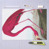 John James Audubon Flamingo Pink Artwork Decoupage Tissuepapier (Craft)