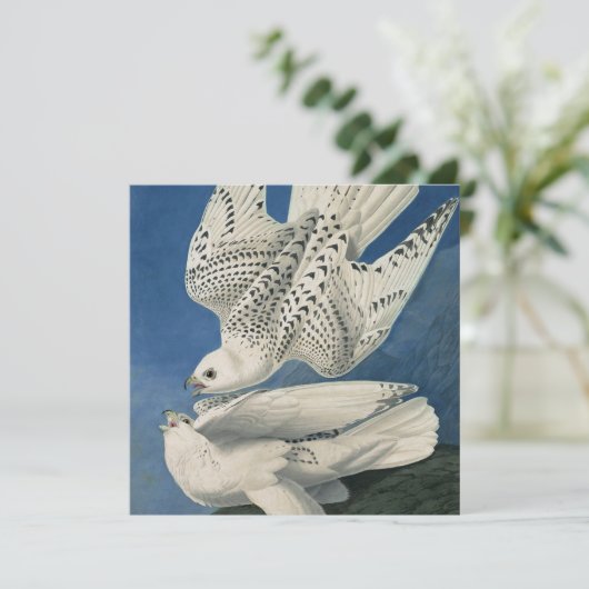 John James Audubon - Gyrfalcon Feestdagenkaart (Staand voorkant)