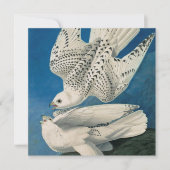 John James Audubon - Gyrfalcon Feestdagenkaart (Voorkant)