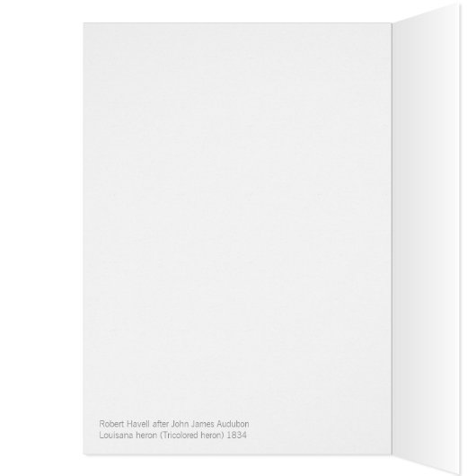 John James Audubon Lousiana heron CC0750 Bird (Binnen (Links))