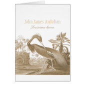John James Audubon Lousiana heron CC0750 Bird (Voorkant)