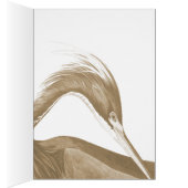 John James Audubon Lousiana heron CC0750 Bird (Binnen (Rechts))