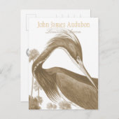 John James Audubon Lousiana heron CC0752 Bird Briefkaart (Voorkant / Achterkant)