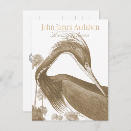 John James Audubon Lousiana heron CC0752 Bird Briefkaart (Voorkant / Achterkant)