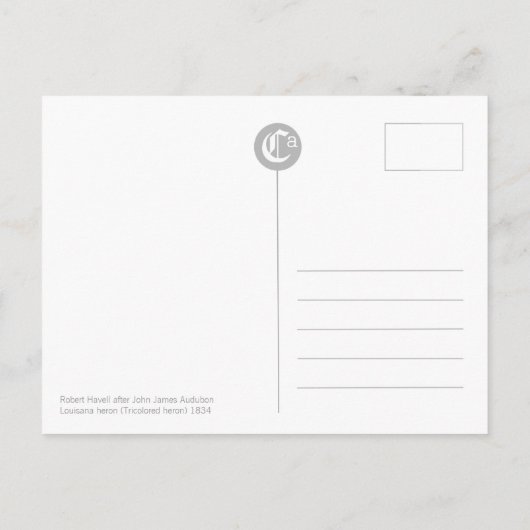 John James Audubon Lousiana heron CC0752 Bird Briefkaart (Achterkant)