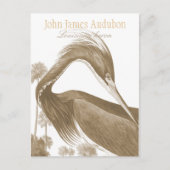 John James Audubon Lousiana heron CC0752 Bird Briefkaart (Voorkant)