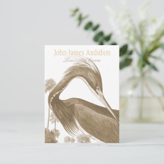 John James Audubon Lousiana heron CC0752 Bird Briefkaart (Staand voorkant)