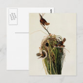 John James Audubon Marsh Wren Vogelprint Briefkaart (Voorkant / Achterkant)