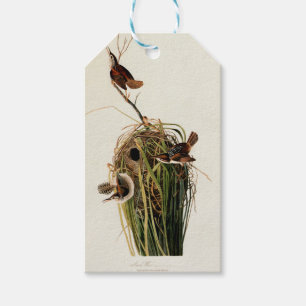 John James Audubon Marsh Wren Vogelprint Cadeaulabel