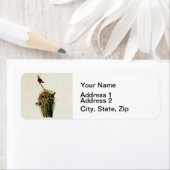 John James Audubon Marsh Wren Vogelprint Etiket (Insitu)