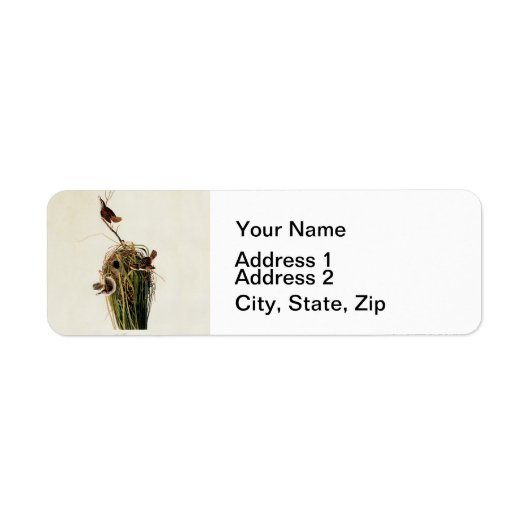 John James Audubon Marsh Wren Vogelprint Etiket (Voorkant)