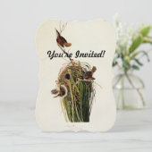 John James Audubon Marsh Wren Vogelprint Kaart (Staand voorkant)