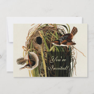 John James Audubon Marsh Wren Vogelprint Kaart
