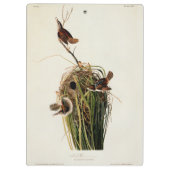 John James Audubon Marsh Wren Vogelprint Klembord (Achterkant)