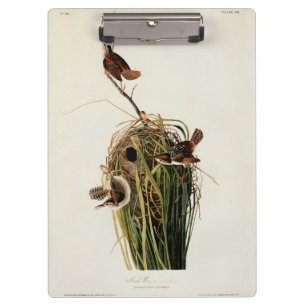John James Audubon Marsh Wren Vogelprint Klembord