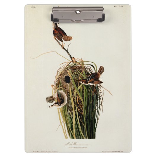 John James Audubon Marsh Wren Vogelprint Klembord (Voorkant)