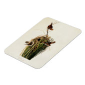 John James Audubon Marsh Wren Vogelprint Magneet (Linkerzijde)