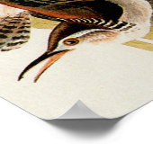 John James Audubon Marsh Wren Vogelprint Poster (Hoek)