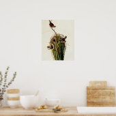 John James Audubon Marsh Wren Vogelprint Poster (Keuken)