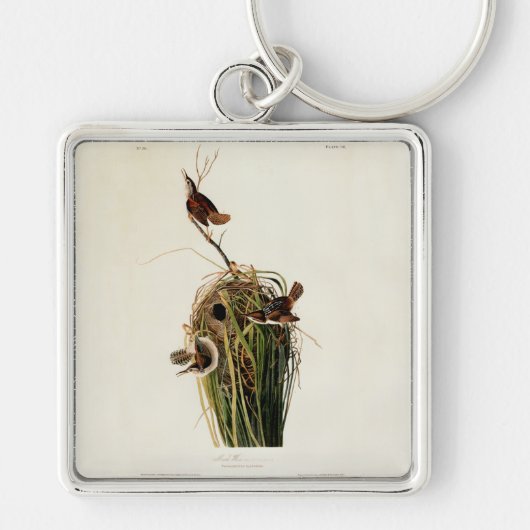 John James Audubon Marsh Wren Vogelprint Sleutelhanger (Voorkant)