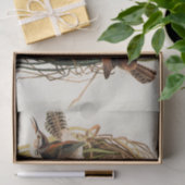 John James Audubon Marsh Wren Vogelprint Tissuepapier (Geschenk)