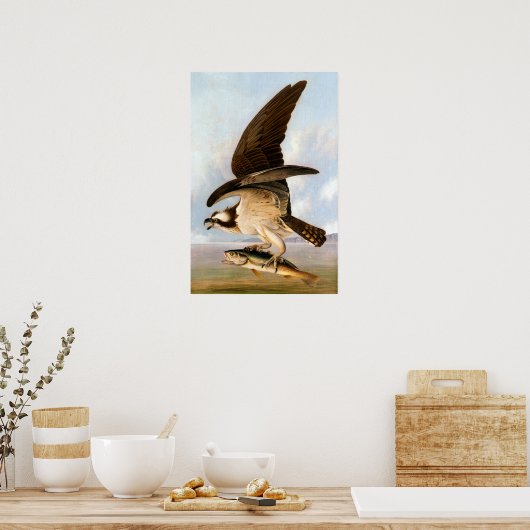 John James Audubon Osprey en Weakfish Poster (Keuken)