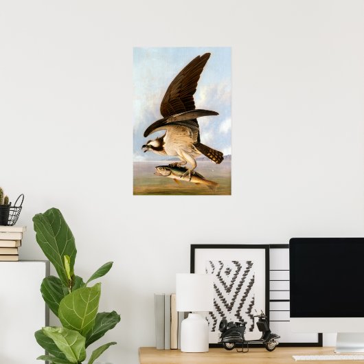 John James Audubon Osprey en Weakfish Poster (Thuiskantoor)