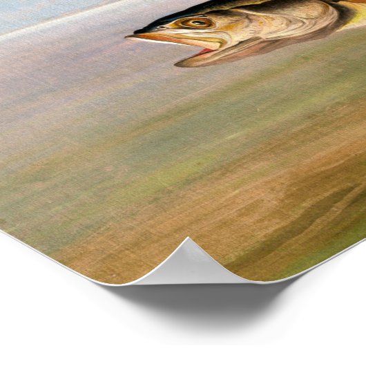 John James Audubon Osprey en Weakfish Poster (Hoek)