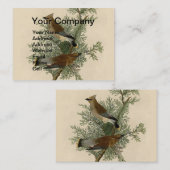 John James Audubon Penseelboomkwartel Print Visitekaartje (Voorkant / Achterkant)
