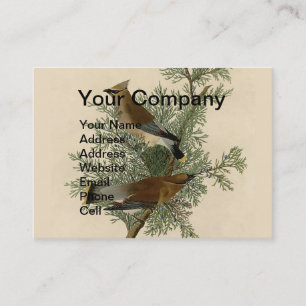 John James Audubon Penseelboomkwartel Print Visitekaartje