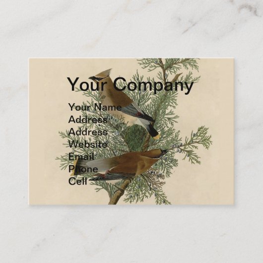 John James Audubon Penseelboomkwartel Print Visitekaartje (Voorkant)