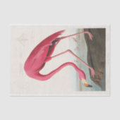 John James Audubon | Roze Flamingo Tissuepapier (Voorkant)