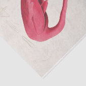 John James Audubon | Roze Flamingo Tissuepapier (Detail)