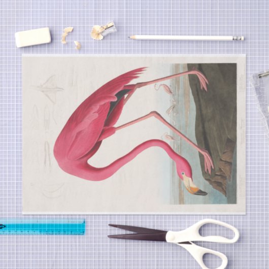 John James Audubon | Roze Flamingo Tissuepapier (Craft)