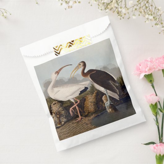 John James Audubon White Ibis Bird Print Classic Bedankzakje (Gezegeld)