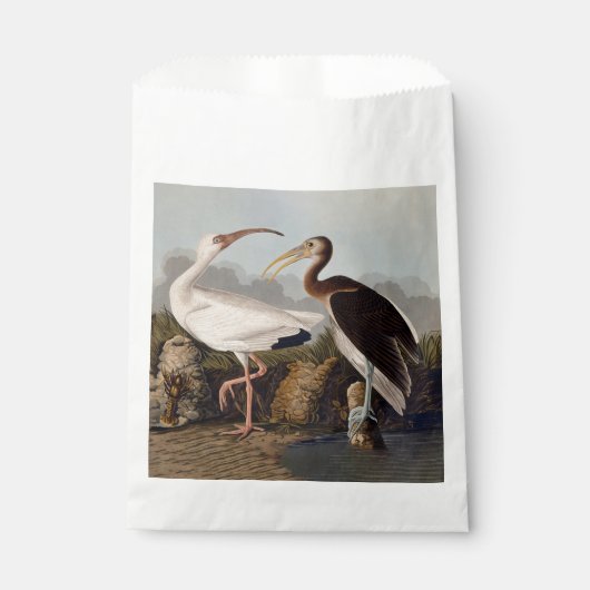John James Audubon White Ibis Bird Print Classic Bedankzakje (Voorkant)