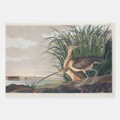 John James Audubon White Ibis Bird Print Classic Inpakpapier Vel (Voorkant 2)