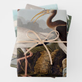 John James Audubon White Ibis Bird Print Classic Inpakpapier Vel (In situ)
