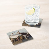 John James Audubon White Ibis Bird Print Classic Kartonnen Onderzetters (Insitu)