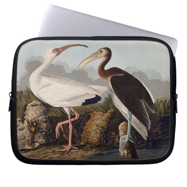 John James Audubon White Ibis Bird Print Classic Laptop Sleeve (Voorkant)