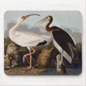 John James Audubon White Ibis Bird Print Classic Muismat (Voorkant)