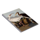 John James Audubon White Ibis Bird Print Classic Notitieboek (Rechterzijde)