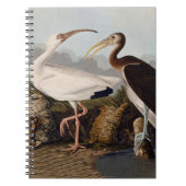 John James Audubon White Ibis Bird Print Classic Notitieboek (Voorkant)