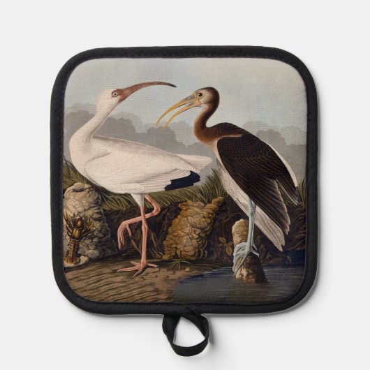John James Audubon White Ibis Bird Print Classic Pannenlap (Voorkant)